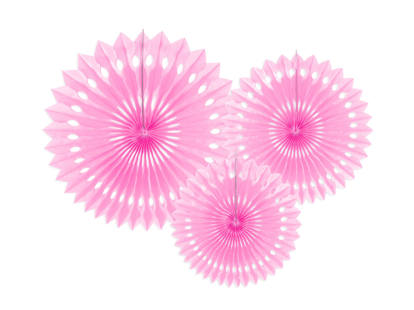 Rosetten Rosa