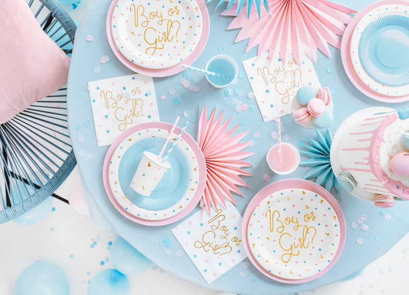 Partyteller Pappteller Gender Reveal Baby Party Babyshower Junge oder Mädchen