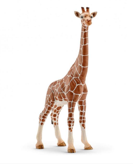 Schleich Dschungel Tiere