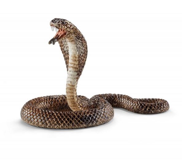 Schleich Dschungel Tiere