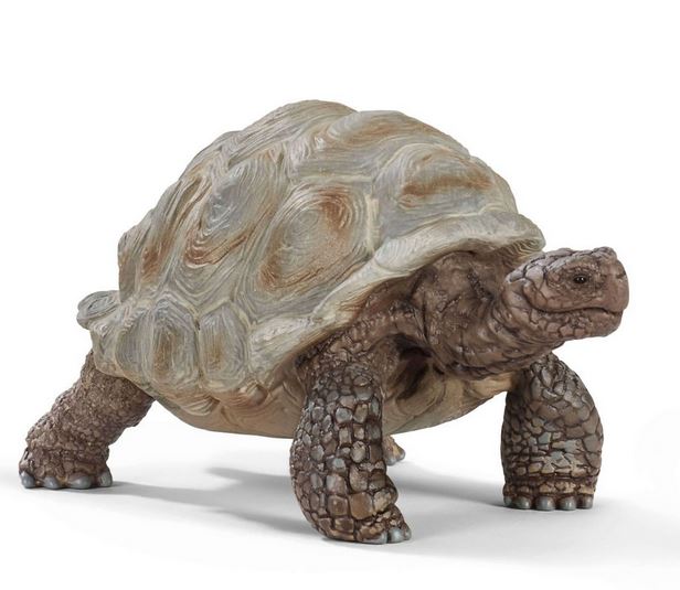 Schleich Dschungel Tiere