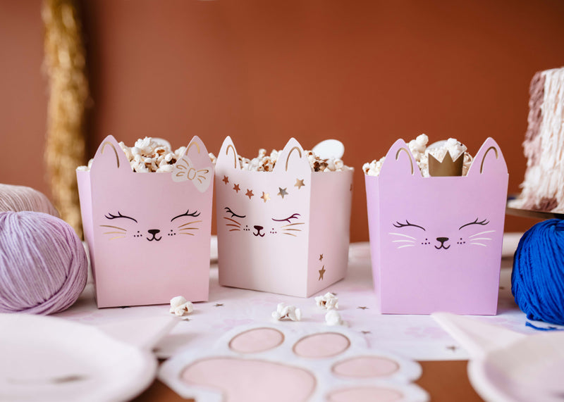 Katzen Kindergeburtstag Kitty Snackbox Popcornbox Schale
