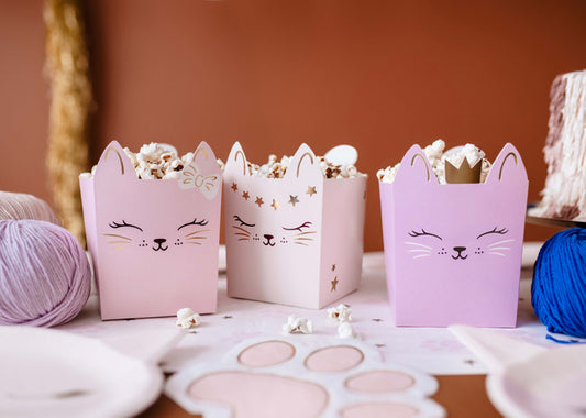 Katzen Kindergeburtstag Kitty Snackbox Popcornbox Schale
