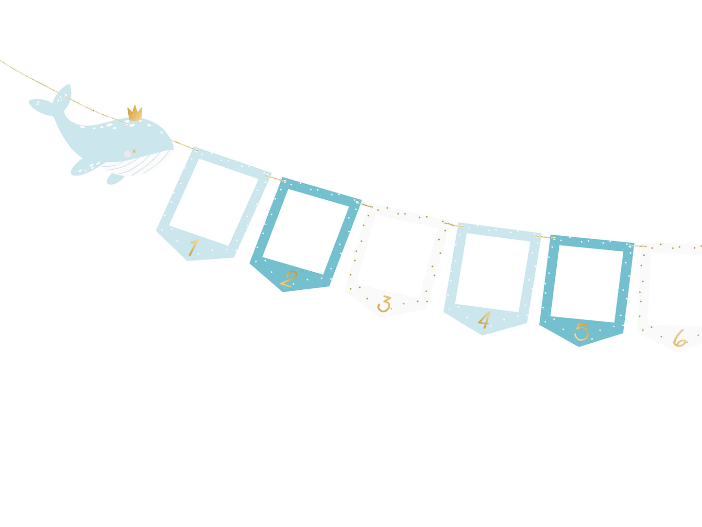 Foto Girlande Blau Erster Geburtstag One First Birthday Bilderrahmen 12 Monate