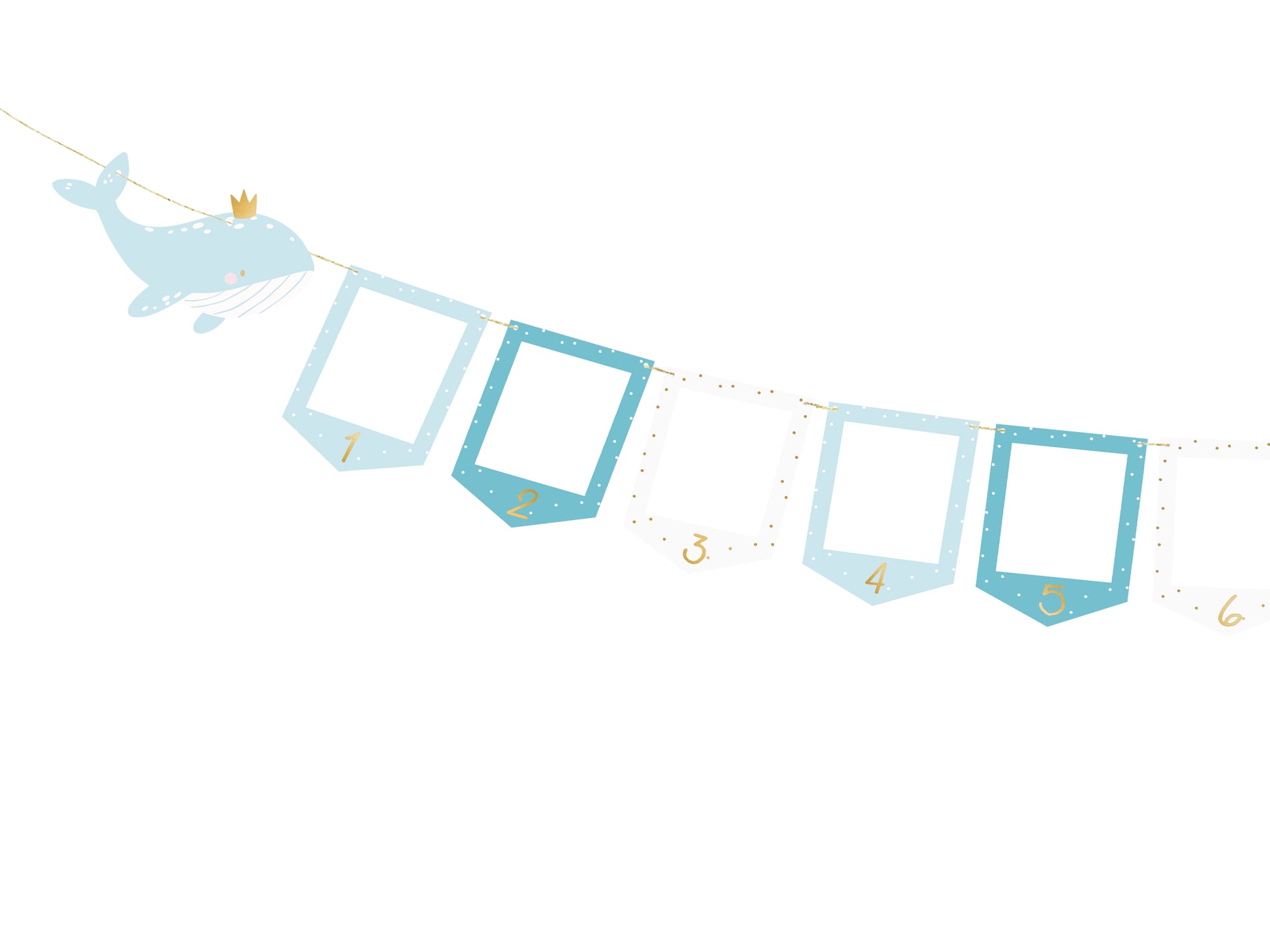 Foto Girlande Blau Erster Geburtstag One First Birthday Bilderrahmen 12 Monate