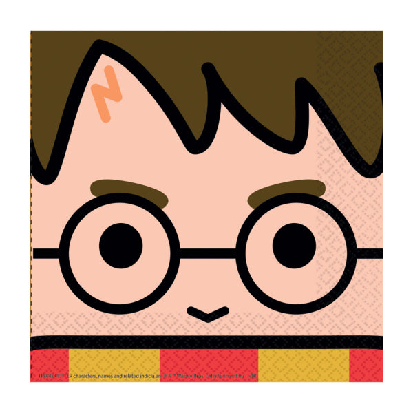 Harry Potter Comic Party Paket
