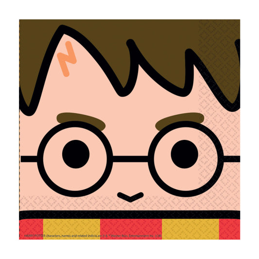 Harry Potter Comic Party Paket