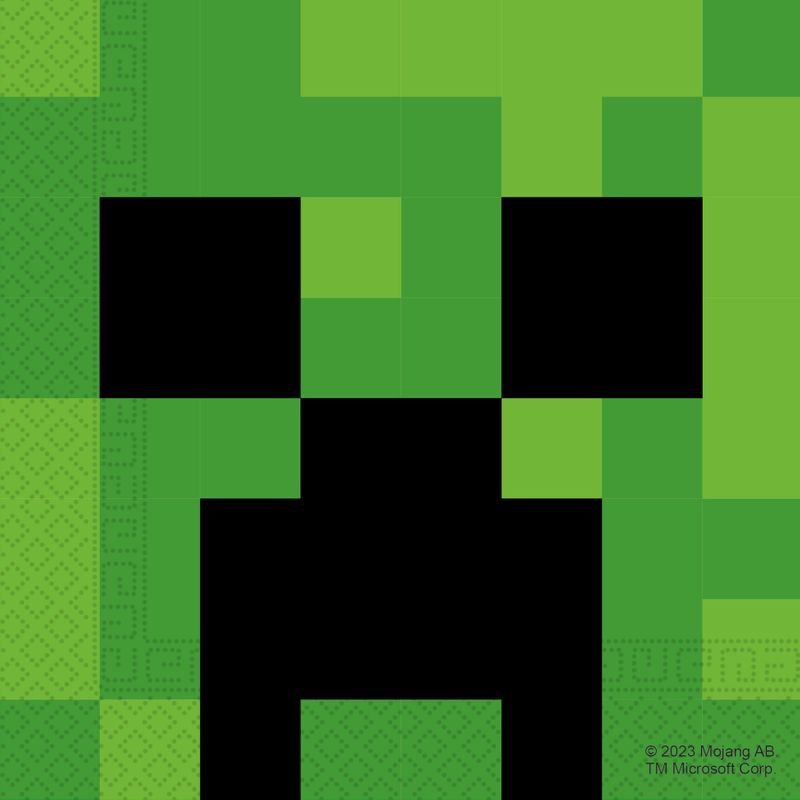 Minecraft Party Paket