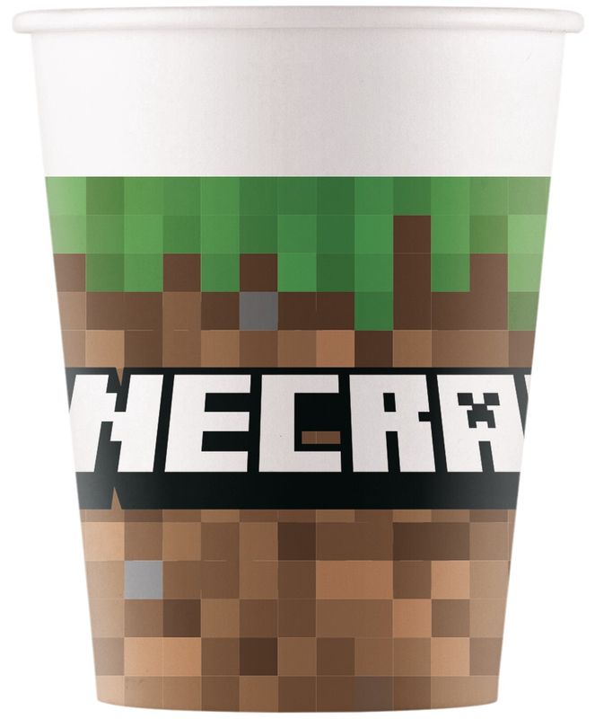 Minecraft Party Paket