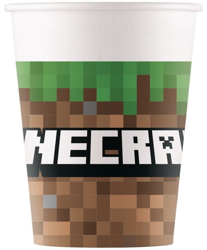 Minecraft Party Paket
