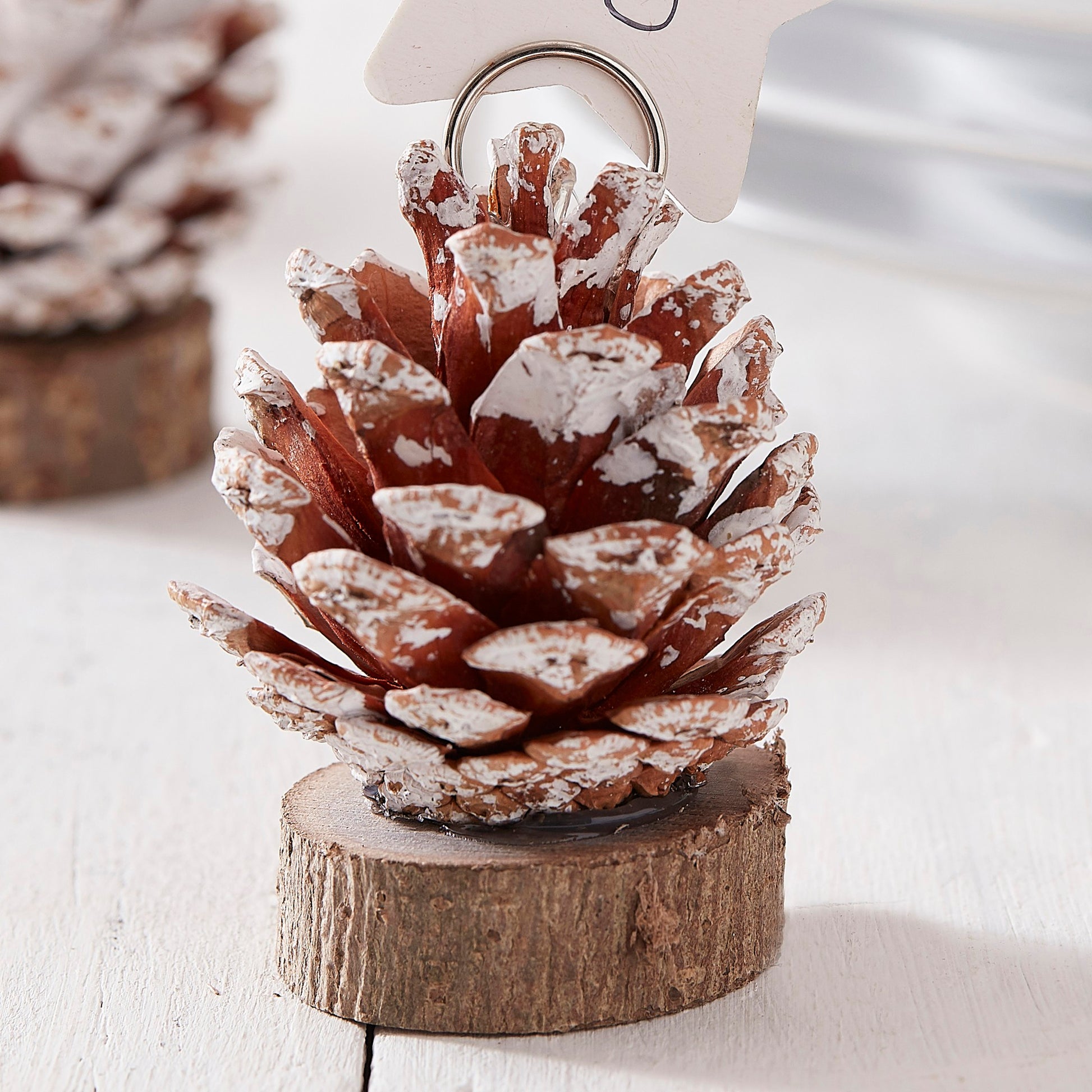 Platzkarten Halter Tischkartenhalter Sitzordnung Weihnachten Weiss Sterne Tannenzapfen