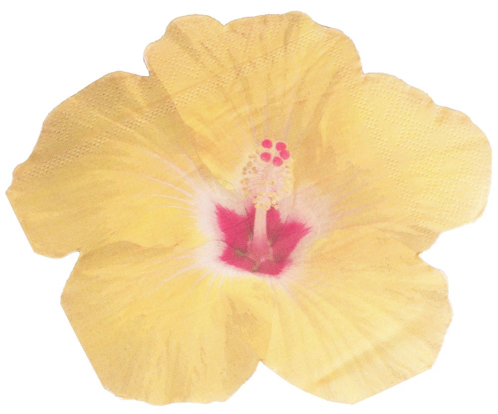 Tropical Party Palmblätter Hawaiiparty Sommerparty Gartenparty Servietten Blume