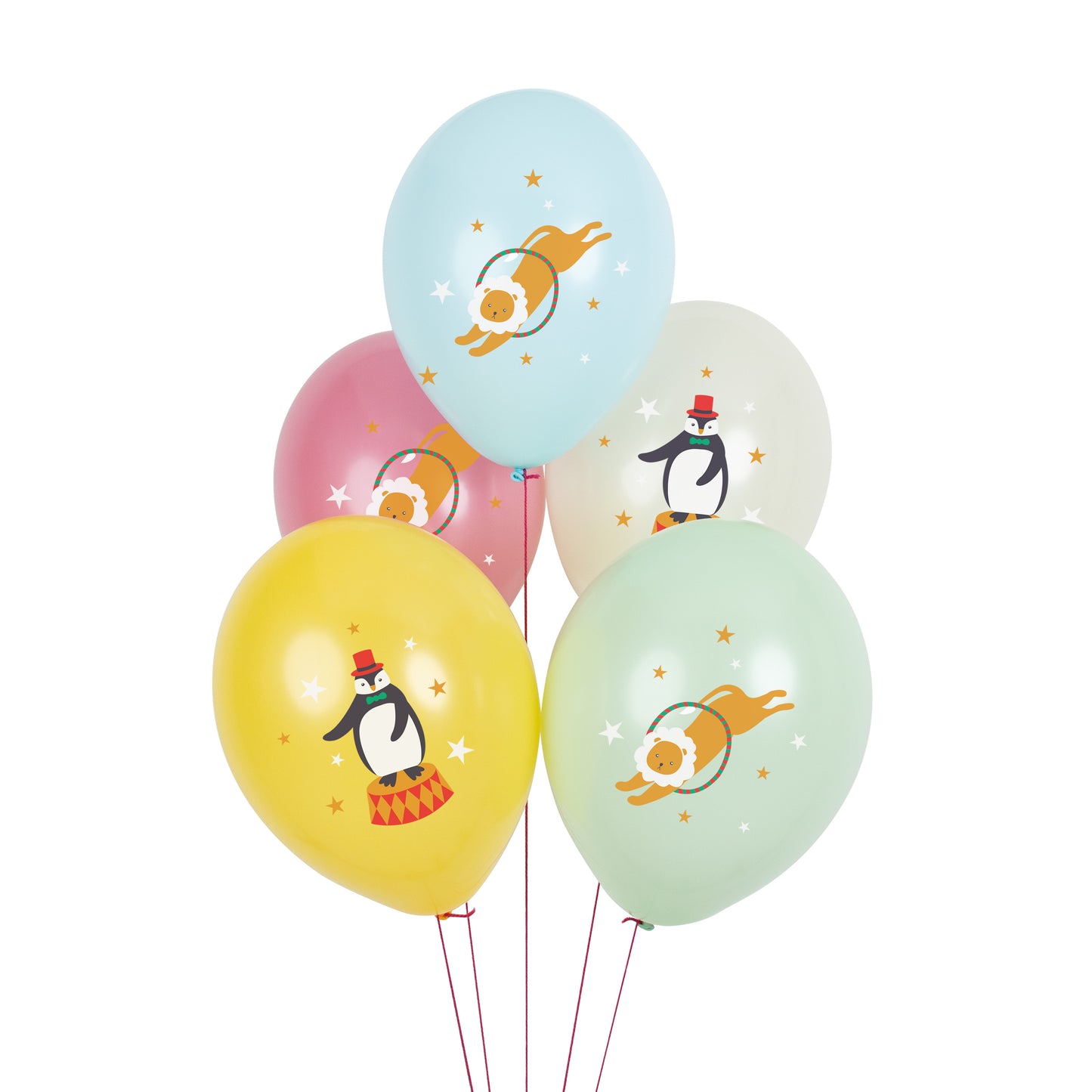 Zirkus Party Paket
