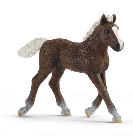 Pferde Bauernhof Party Geburtstag Dekoration Schleich Fohlen