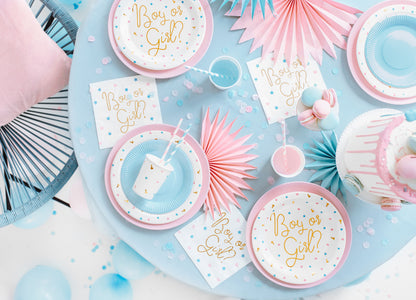Partyteller Pappteller Gender Reveal Baby Party Babyshower Junge oder Mädchen