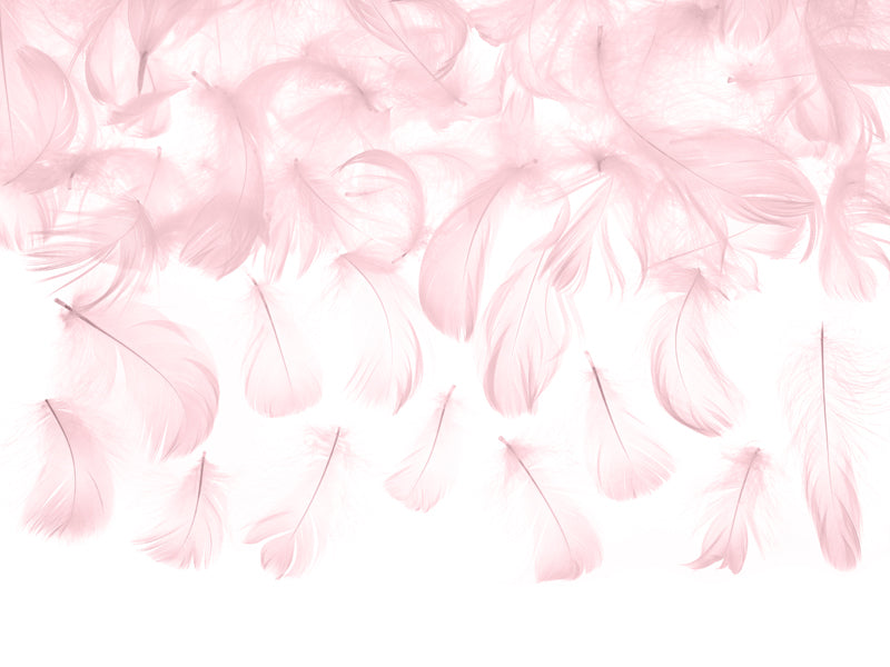 Ballerina Schwan Party Geburtstag Rosa Federn